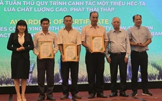 Thêm 1.000 tấn gạo Việt xanh phát thải thấp giá trên 1.000 đô la sang châu Âu và Úc