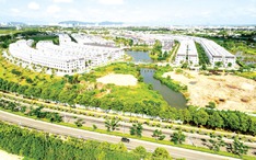 Khi 'xanh' trở thành điều kiện tiếp cận vốn