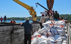 Giá gạo châu Á tăng mạnh nhất gần 20 năm