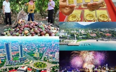 Tin nóng hôm nay: Giá vàng tiếp tục lao dốc | TPHCM bắn pháo hoa tại 16 điểm dịp kỷ niệm 50 năm mang tên Bác | Khởi động dự án thí điểm sản xuất hữu cơ trên ca cao, cây ăn quả | Thí điểm đặc khu số, du lịch thông minh ở Côn Đảo | Đồng Nai quy hoạch đường ven sông 10 làn xe kết nối Biên Hòa và Nhơn Trạch
