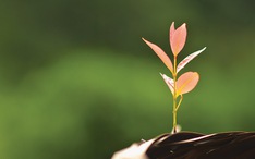 Kết thúc để bắt đầu…