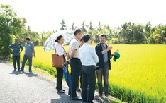 Kinh tế nông nghiệp xanh ĐBSCL: Không còn thời gian để chọn lựa