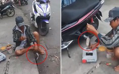 Người đàn ông liên tục giật được cá trê trên phố Sài Gòn