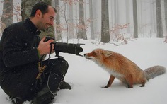 Khi nhiếp ảnh gia bị động vật hoang dã 'làm phiền'