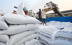 Indonesia có kế hoạch nhập khẩu gạo Việt Nam