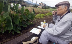 Dân số già nhanh, Nhật Bản chuẩn hóa việc tái chế tã người lớn