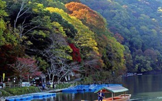 Chiêm ngưỡng cảnh sắc tuyệt đẹp ở công viên Arashiyama, Kyoto