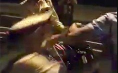 CSGT ngã do trượt chân, không giả vờ, cũng không bị đánh