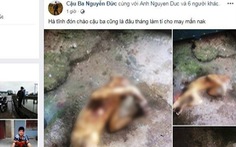Thêm vụ giết khỉ khoe Facebook gây phẫn nộ