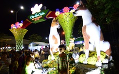 Sài Gòn khai mạc chợ hoa xuân Bình Điền
