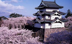 Đi Nhật Bản ngắm hoa anh đào ở đâu đẹp nhất? (phần 2)