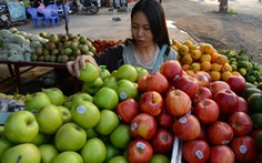 Truy xuất nguồn gốc trái cây nhập khẩu: Vẫn còn bỏ ngỏ