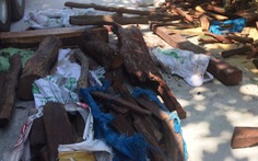 Quảng Nam bắt xe tải chở 2 tấn gỗ trắc không rõ nguồn gốc