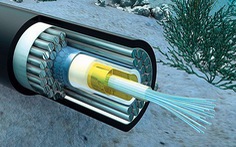 Cáp AAG được sửa xong sớm, khôi phục tốc độ internet đi quốc tế