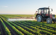 Chất diệt cỏ glyphosate gây ung thư: Monsanto muốn thoát thân?