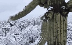 Ngắm hai thái cực của mẹ thiên nhiên: tuyết rơi sa mạc