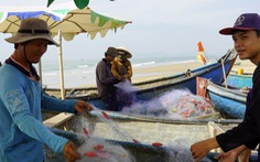 Bà Rịa - Vũng Tàu thu hồi đất dự án, trả lại bãi biển cho ngư dân và cộng đồng