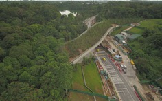 Singapore làm cầu vượt trồng cây rừng dành cho động vật