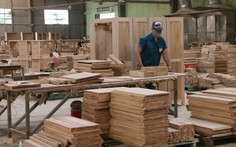Từ 1-6, gỗ 'lậu' sẽ không được nhập vào châu Âu