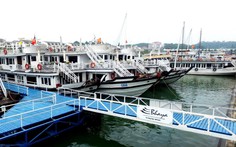 Làm rõ việc du khách Nhật tử vong tại cảng quốc tế Tuần Châu