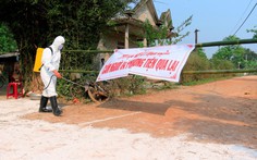 Thừa Thiên - Huế phát hiện thêm 3 ổ dịch tả heo châu Phi