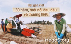 Hạt gạo Việt: 30 năm, một nỗi đau đáu về thương hiệu