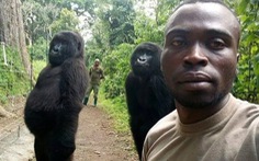 Khỉ đột tạo dáng chụp ảnh selfie cùng kiểm lâm
