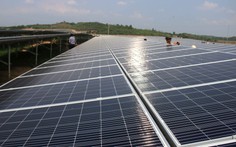 Dự án điện bị tắc do vướng luật