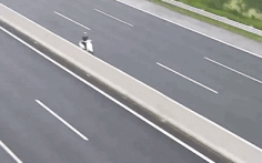 Video: Xe máy chạy ngược chiều trên cao tốc Hà Nội - Hải Phòng