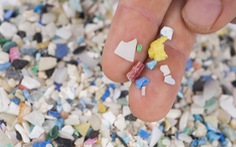 73.000 mảnh nhựa đi vào cơ thể người mỗi năm
