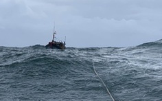 Đà Nẵng còn 8 tàu cá với 79 ngư dân trên biển, vẫn đang tìm kiếm 1 tàu mất tích