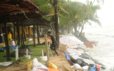 'Tốn bao nhiêu tiền của cũng phải cứu bằng được biển Hội An'