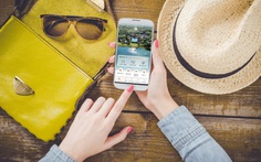 Flamingo Cát Bà và hành trình chiếm trọn trái tim khách hàng