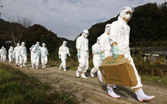 Cúm gia cầm đe dọa Nhật, Hàn bị dạng cúm độc lực cao