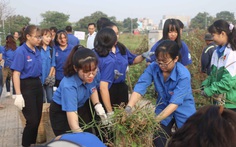 Chỉ thị 19 sẽ hiệu quả hơn