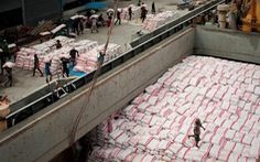 Philippines dự kiến nhập khẩu gạo lớn nhất thế giới trong năm 2020