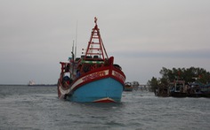 Điều tra các tàu cá sử dụng tên, đăng ký tàu giả để khai thác hải sản trái phép