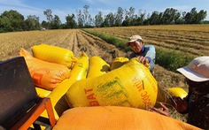 Việt Nam giữ sản lượng 22 triệu tấn gạo