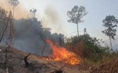 Giám đốc ban quản lý rừng thuê người đốt thực bì rẫy keo, lửa lan ra rừng