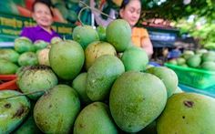 Từ tỉnh miền núi, Sơn La trở thành trung tâm chuyên canh và xuất khẩu hoa quả