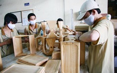 Việt Nam ký thỏa thuận về kiểm soát gỗ bất hợp pháp