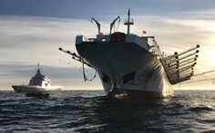 Săn lùng các đội tàu sát thủ đại dương - Kỳ 2: Càn quét Nam Mỹ
