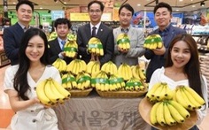 Siêu thị Lotte Mart đưa chuối Việt Nam vào bán tại Hàn Quốc