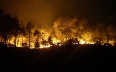 Sau Nghệ An, rừng ở Hà Tĩnh lại đang cháy ngùn ngụt trong đêm