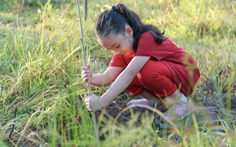 Giáo dục trẻ yêu thiên nhiên qua hoạt động trồng cây gây rừng