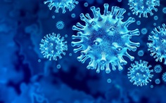 Có bao nhiêu chủng virus SARS-CoV-2 đang lây lan?