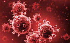 Nghiên cứu mới: Nhiều người đề kháng tốt với SARS-CoV-2 dù chưa bị phơi nhiễm