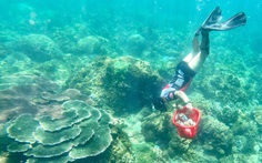 Phát động cuộc thi sáng kiến thanh niên 'trả xanh cho biển' năm 2020