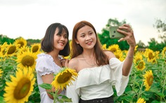 Thỏa thích 'tung tẩy' giữa cánh đồng hoa rực rỡ tại quận 9