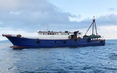Bắt tàu cá Trung Quốc đánh bắt hải sản trái phép trên vùng biển Móng Cái